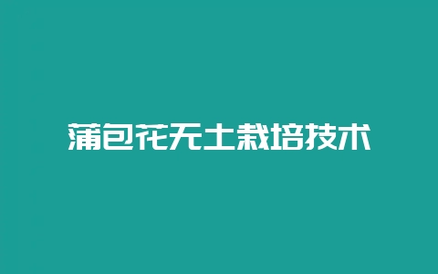 蒲包花无土栽培技术-会东网