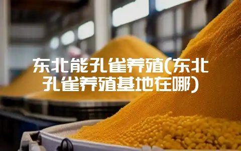 东北能孔雀养殖(东北孔雀养殖基地在哪)-会东网