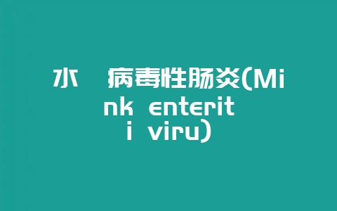 水貂病毒性肠炎(Mink enteriti viru)-会东网