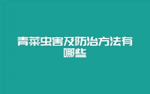 青菜虫害及防治方法有哪些-会东网