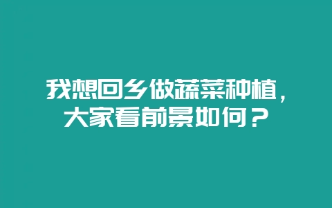 我想回乡做蔬菜种植，大家看前景如何？-会东网