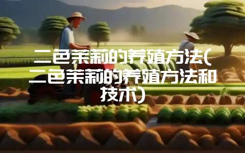 二色茉莉的养殖方法(二色茉莉的养殖方法和技术)-会东网