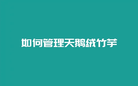 如何管理天鹅绒竹芋-会东网