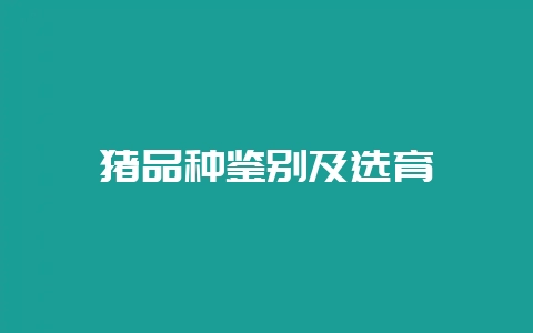 猪品种鉴别及选育插图 猪品种鉴别及选育插图