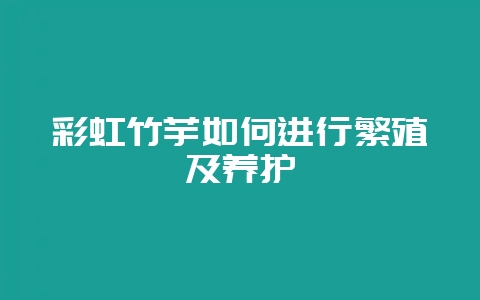 彩虹竹芋如何进行繁殖及养护-会东网