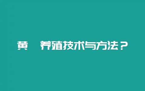 黄鳝养殖技术与方法？-会东网