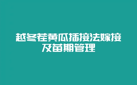 越冬茬黄瓜插接法嫁接及苗期管理-会东网