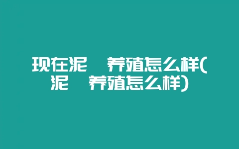 现在泥鳅养殖怎么样(泥鳅养殖怎么样)插图 现在泥鳅养殖怎么样(泥鳅养殖怎么样)插图