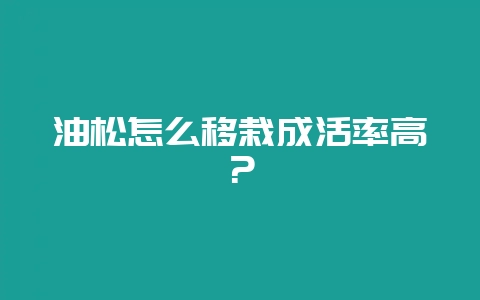 油松怎么移栽成活率高?-会东网