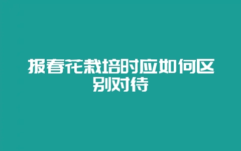 报春花栽培时应如何区别对待-会东网