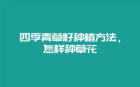四季青草籽种植方法，怎样种草花-会东网