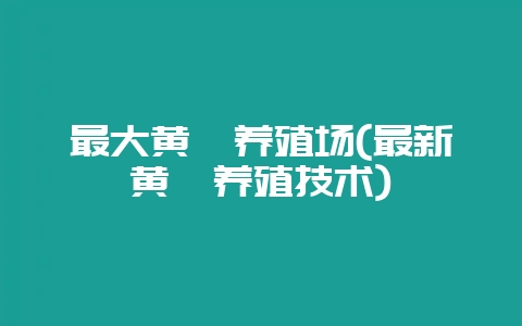 最大黄鳝养殖场(最新黄鳝养殖技术)-会东网
