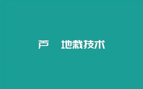 芦荟地栽技术-会东网