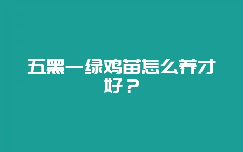 五黑一绿鸡苗怎么养才好？-会东网