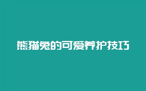 熊猫兔的可爱养护技巧-会东网