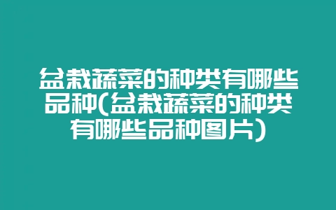 盆栽蔬菜的种类有哪些品种(盆栽蔬菜的种类有哪些品种图片)-会东网