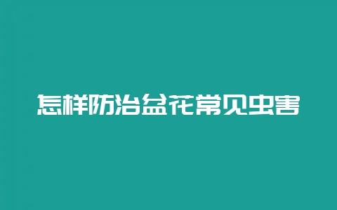 怎样防治盆花常见虫害-会东网