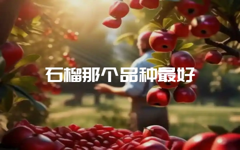 石榴那个品种最好插图 石榴那个品种最好插图