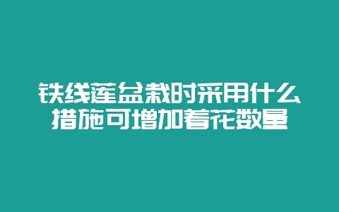 铁线莲盆栽时采用什么措施可增加着花数量-会东网