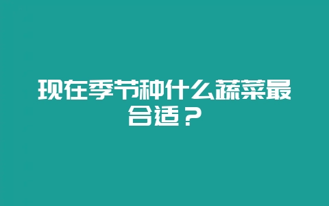 现在季节种什么蔬菜最合适？-会东网