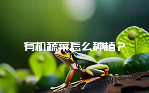 有机蔬菜怎么种植?插图 有机蔬菜怎么种植?插图