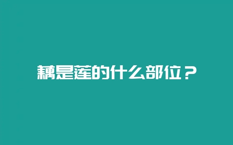 藕是莲的什么部位?插图 藕是莲的什么部位?插图