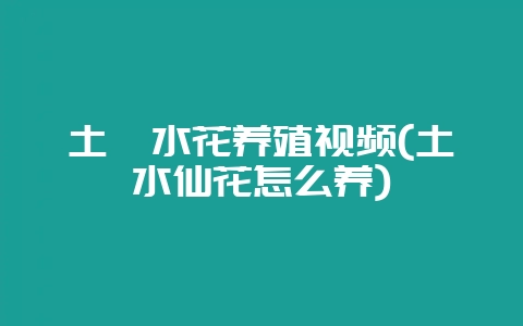 土鲮水花养殖视频(土水仙花怎么养)-会东网