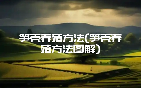 笋壳养殖方法(笋壳养殖方法图解)-会东网