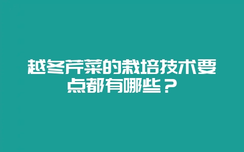 越冬芹菜的栽培技术要点都有哪些?-会东网