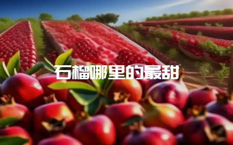 石榴哪里的最甜-会东网