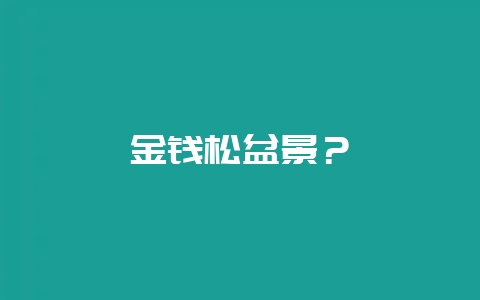 金钱松盆景？-会东网