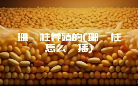 珊瑚柱养殖的(珊瑚柱怎么扦插)-会东网