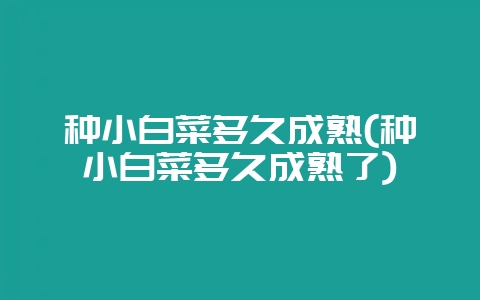 种小白菜多久成熟(种小白菜多久成熟了)-会东网