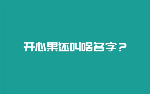 开心果还叫啥名字？-会东网