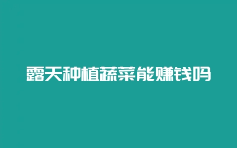 露天种植蔬菜能赚钱吗-会东网