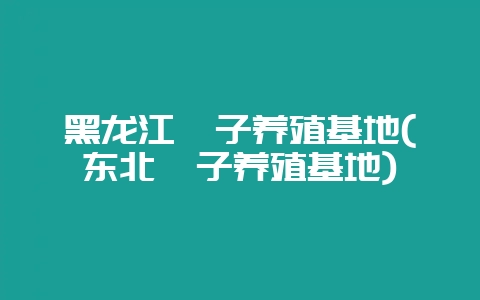 黑龙江獾子养殖基地(东北獾子养殖基地)-会东网