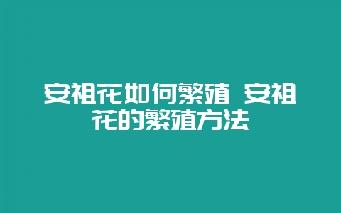 安祖花如何繁殖 安祖花的繁殖方法-会东网