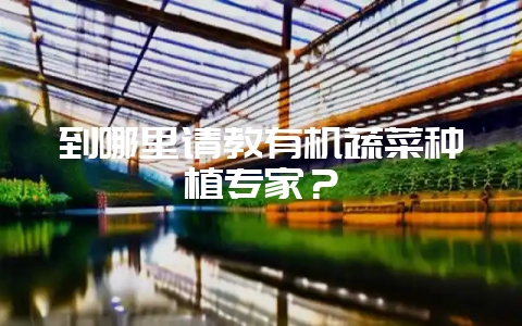 到哪里请教有机蔬菜种植专家？-会东网