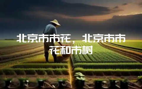 北京市市花，北京市市花和市树-会东网
