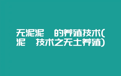 无泥泥鳅的养殖技术(泥鳅技术之无土养殖)-会东网
