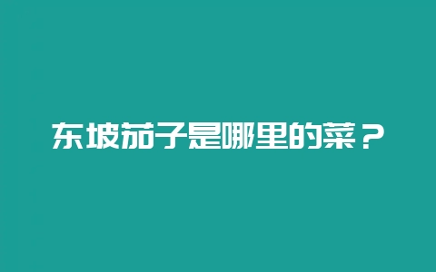 东坡茄子是哪里的菜？-会东网