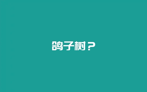 鸽子树？-会东网