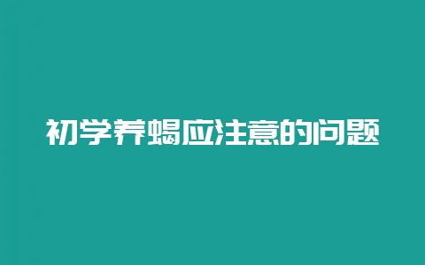 初学养蝎应注意的问题插图 初学养蝎应注意的问题插图