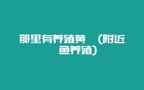 那里有养殖黄鳝(附近鳝鱼养殖)-会东网