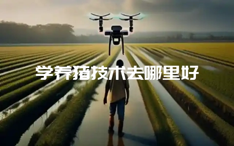 学养猪技术去哪里好-会东网