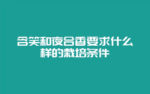 含笑和夜合香要求什么样的栽培条件-会东网
