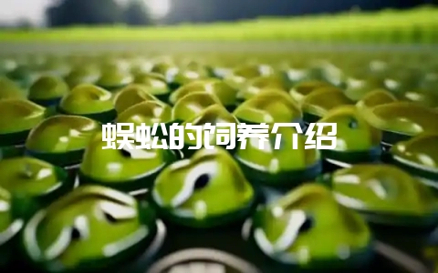 蜈蚣的饲养介绍-会东网
