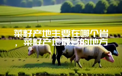 菜籽产地主要在哪个省，菜籽产地最多的地方-会东网