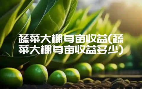 蔬菜大棚每亩收益(蔬菜大棚每亩收益多少)插图 蔬菜大棚每亩收益(蔬菜大棚每亩收益多少)插图