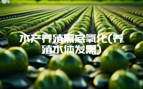 水产养殖黑底氧化(养殖水体发黑)-会东网